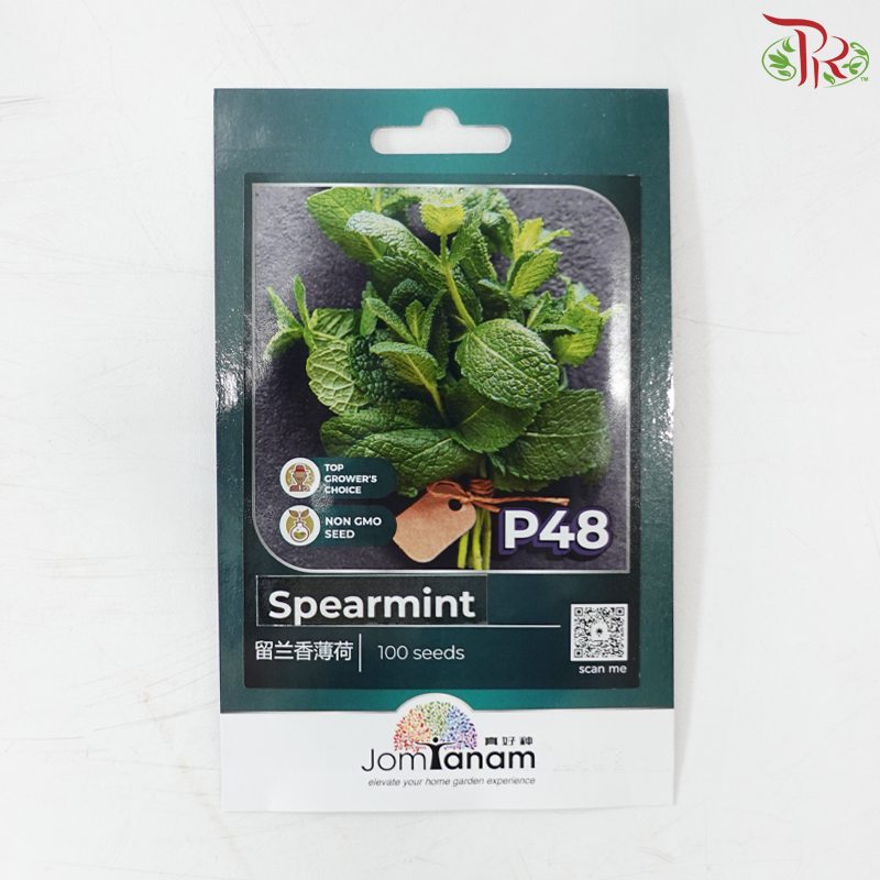 【Jom Tanam Seeds】Herbs Series (Per Pack) (With Options)