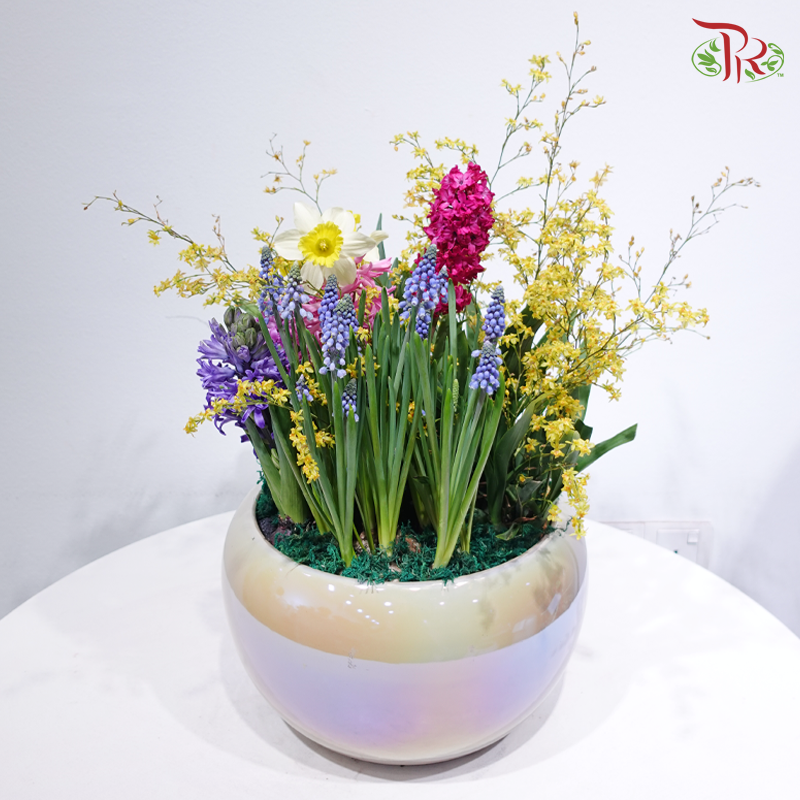 【CNY 2026】Spring Collection《春日精选》