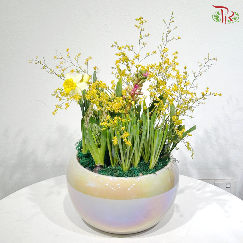 【CNY 2026】Spring Collection《春日精选》