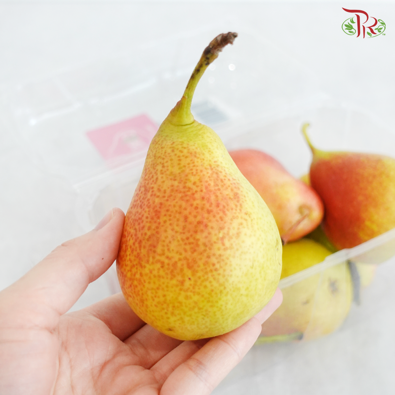 Blush Pear《腮红梨》 (Per Box)