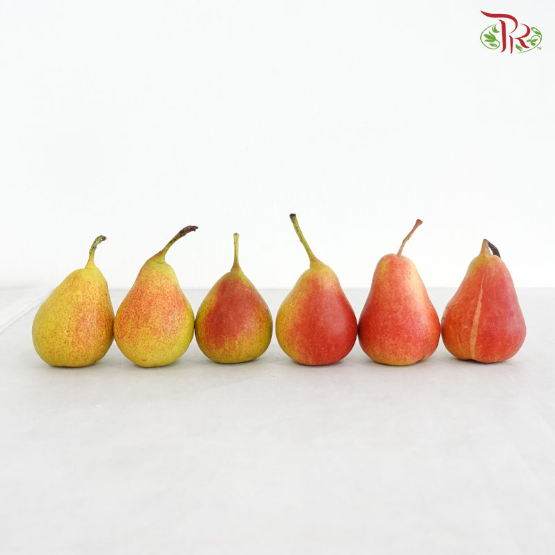 Blush Pear《腮红梨》 (Per Box)