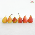 Blush Pear《腮红梨》 (Per Box)