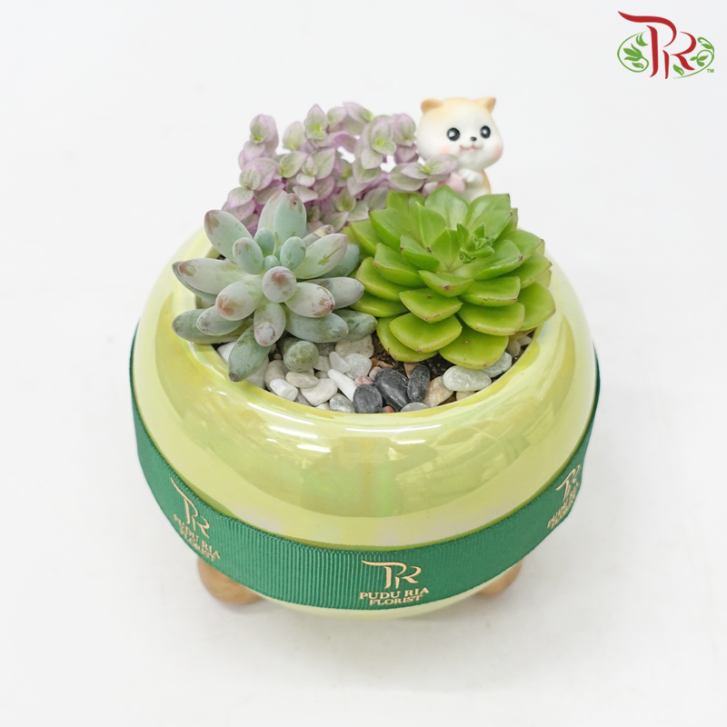 【Gift Series】Succulent Raya Arrangement (Random Choose Succulent & Deco)