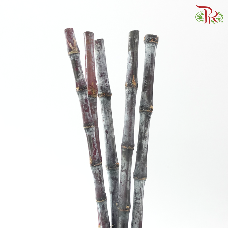 Sugar Cane Shine (5 Stems)