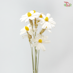 Dried Sunflower-seeds Flower - White With Yelllow Heart (10 Stems)
