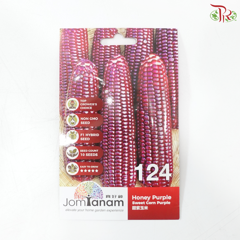 【Jom Tanam Seeds】Fruity Vegetable Series - Others (Per Pack) (With Options)