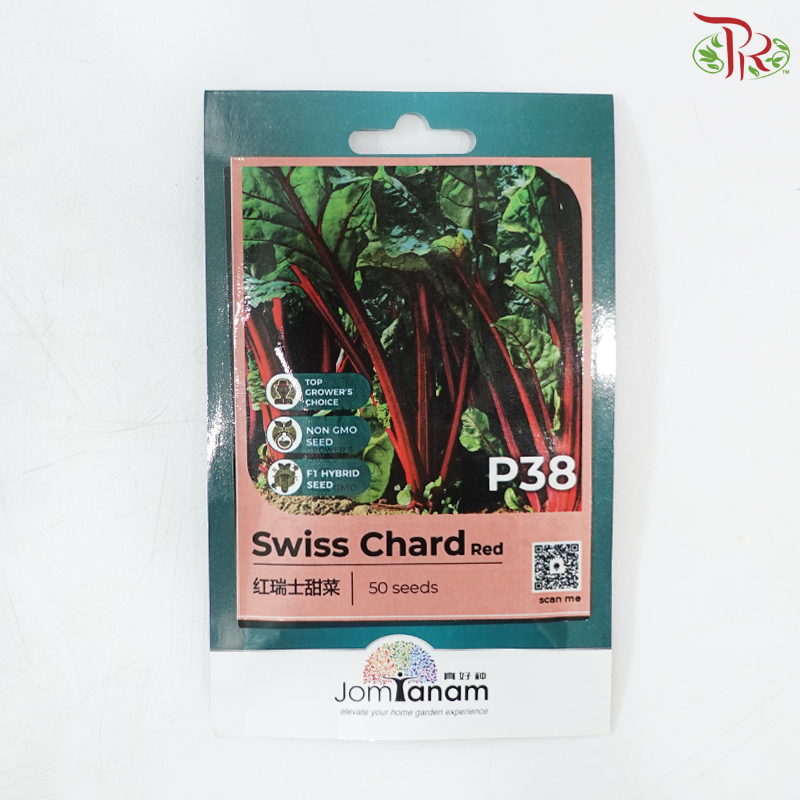 【Jom Tanam Seeds】Vegetable Series (Per Pack) (With Options)