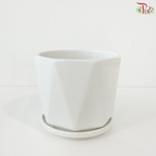 TX24-93006.17 White Pot