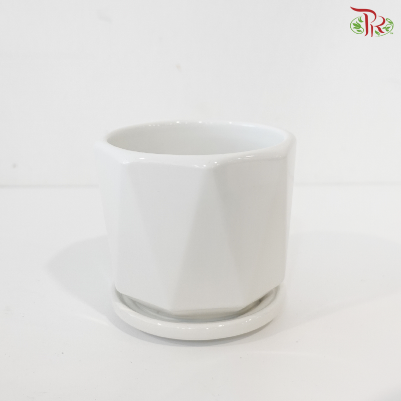 TX72-44034 White Pot