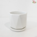 TX72-44034 White Pot