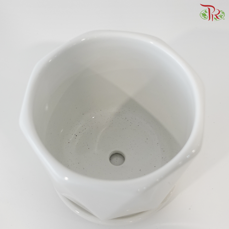 TX72-44034 White Pot