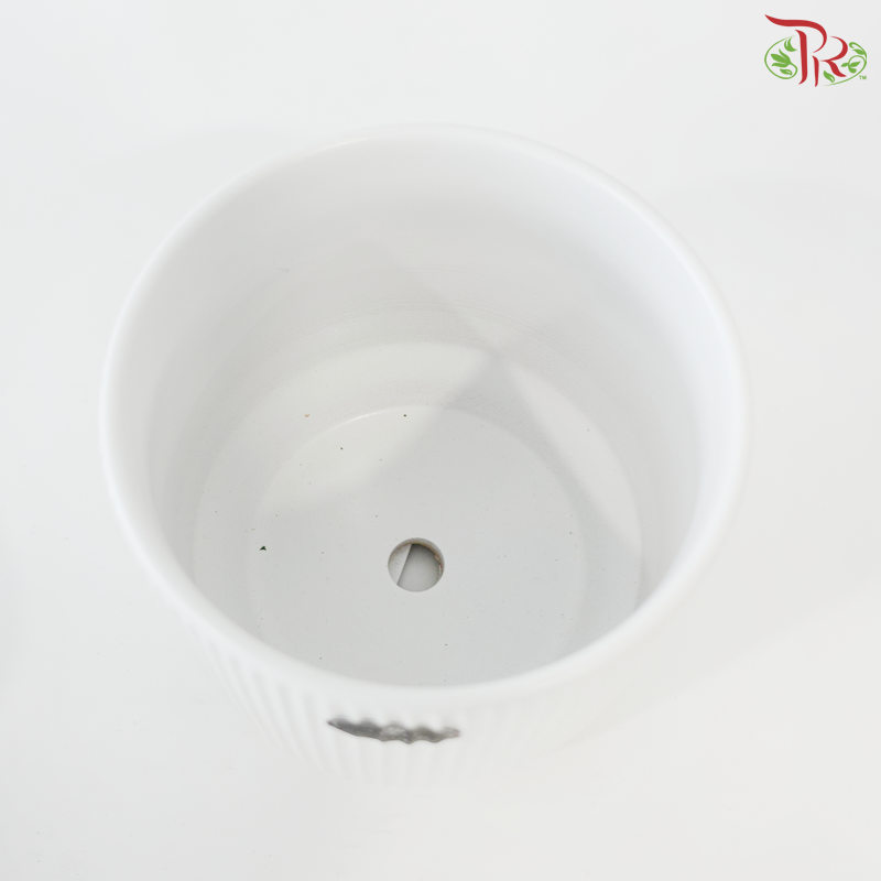 TX-JW7450000.14 Pot (With Color Option)