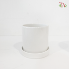TX01-TX02-TX03 White Pot (With Pole)