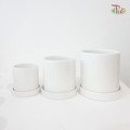 TX01-TX02-TX03 White Pot (With Pole)