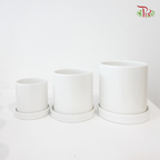 TX01-TX02-TX03 White Pot (With Pole)