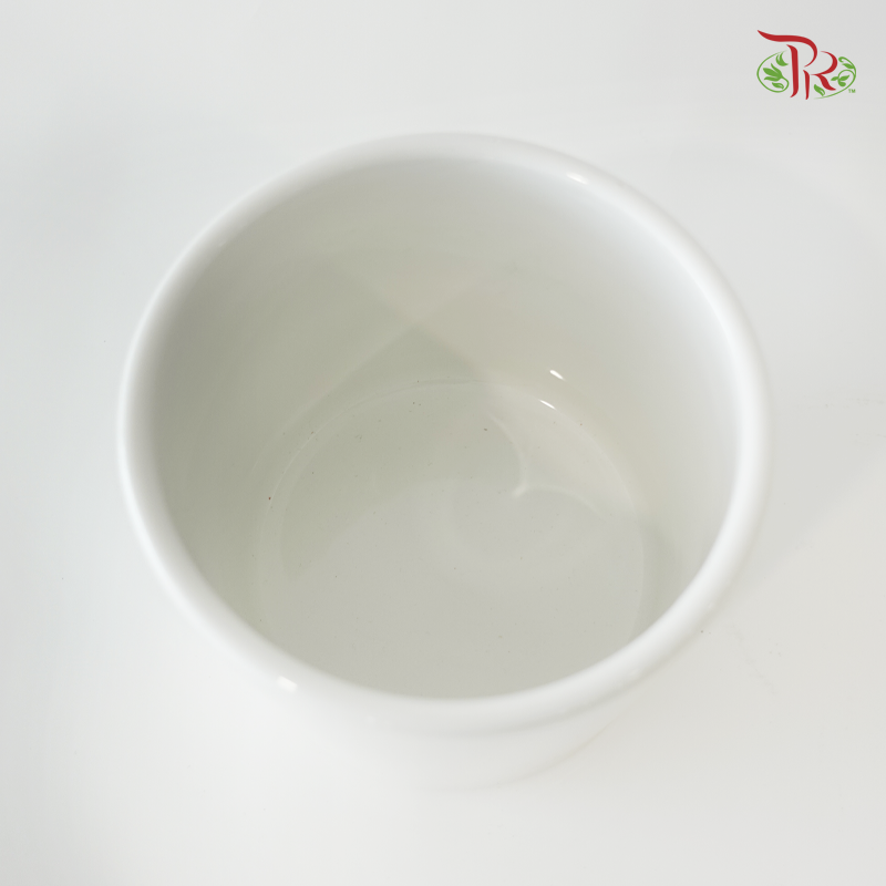TX02 White Pot (No Hole)