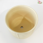 YS-5543 Pot (With Color Opiton)