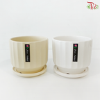 TY-6801/TY-6804 Pot (With Color Option)