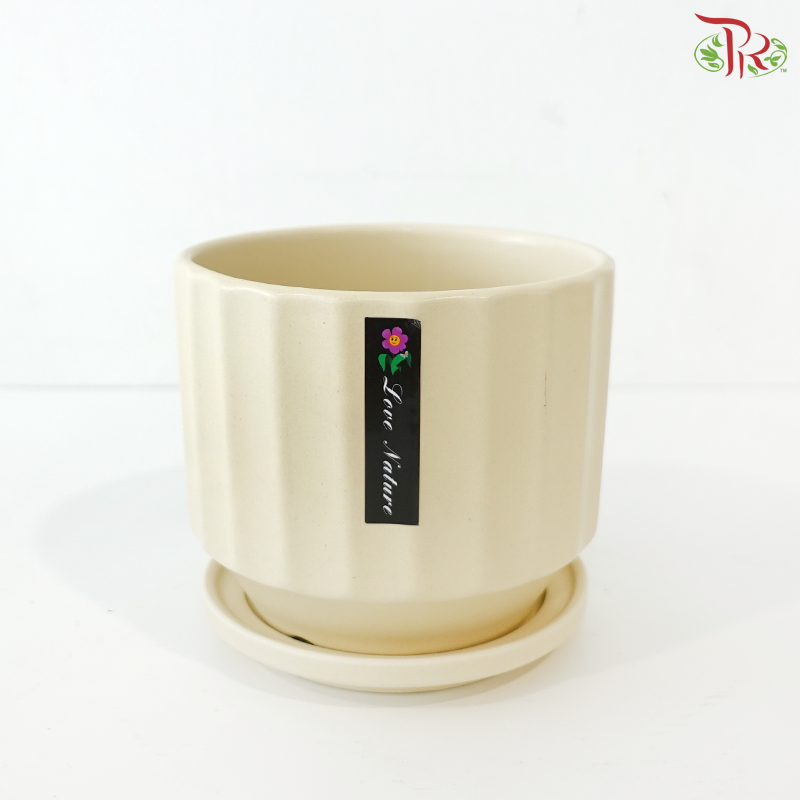 TY-6801/TY-6804 Pot (With Color Option)