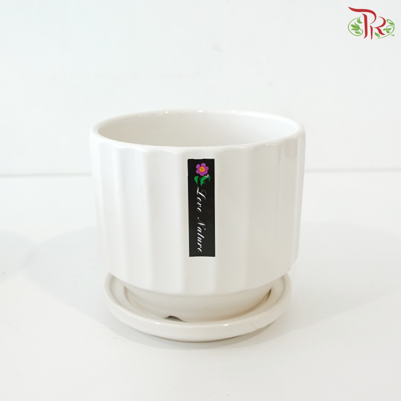 TY-6801/TY-6804 Pot (With Color Option)