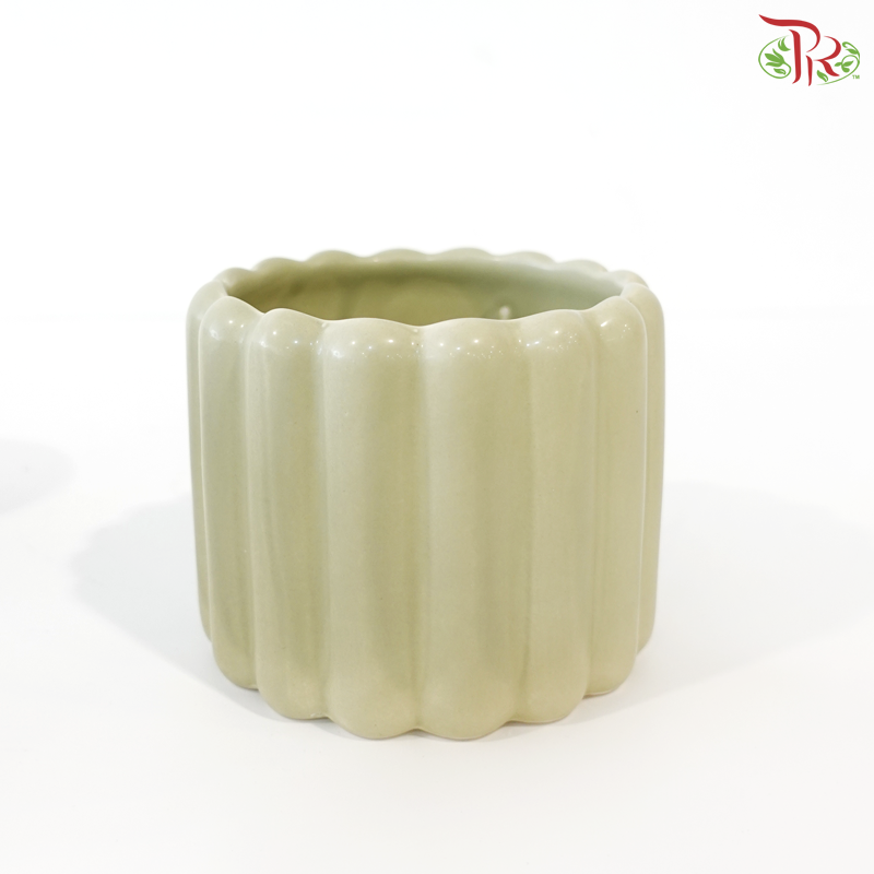 TY-8829 Pot (With Color Option)