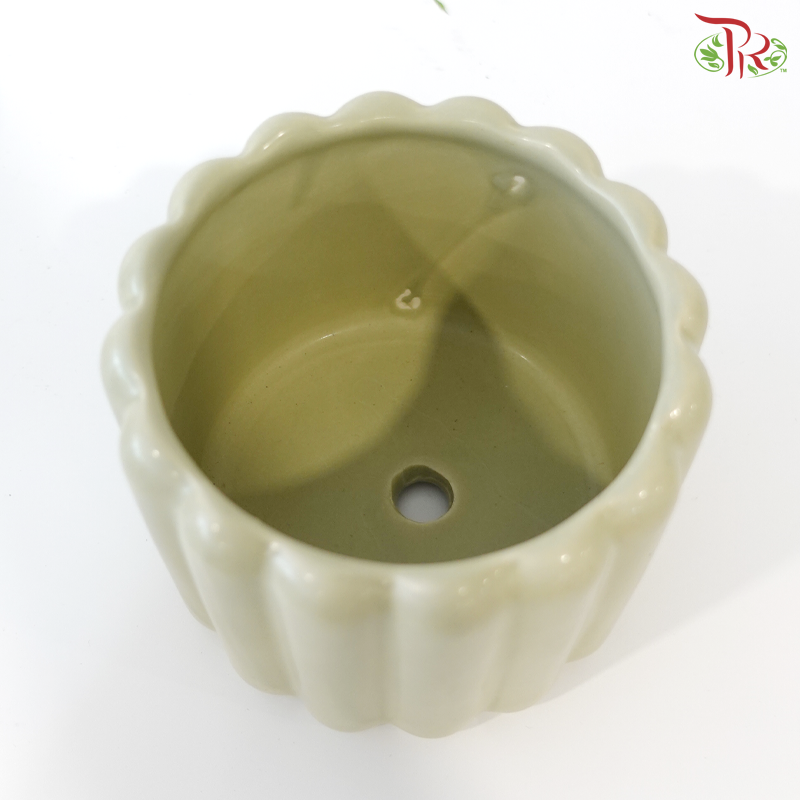 TY-8829 Pot (With Color Option)