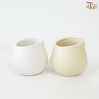 TY-8834 Pot (With Color Option)