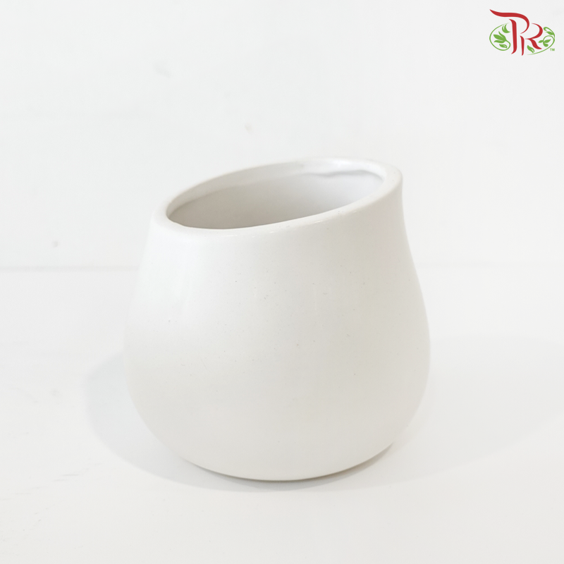 TY-8834 Pot (With Color Option)