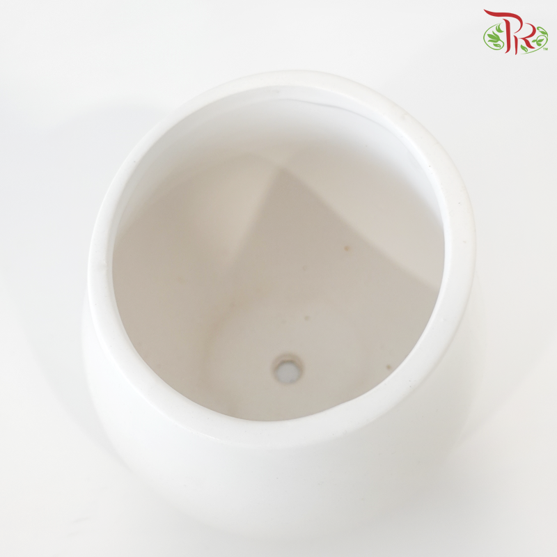 TY-8834 Pot (With Color Option)