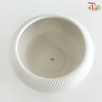 TY-8866 White Pot (TY-8866)