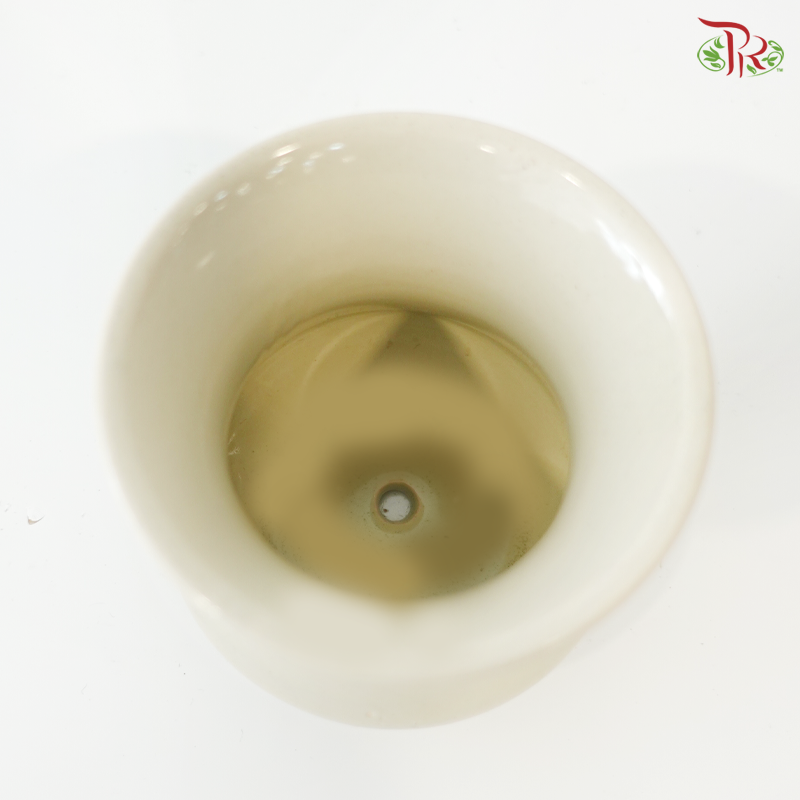 TY-9903 Xiao Xi Pot