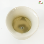 TY-9903 Xiao Xi Pot