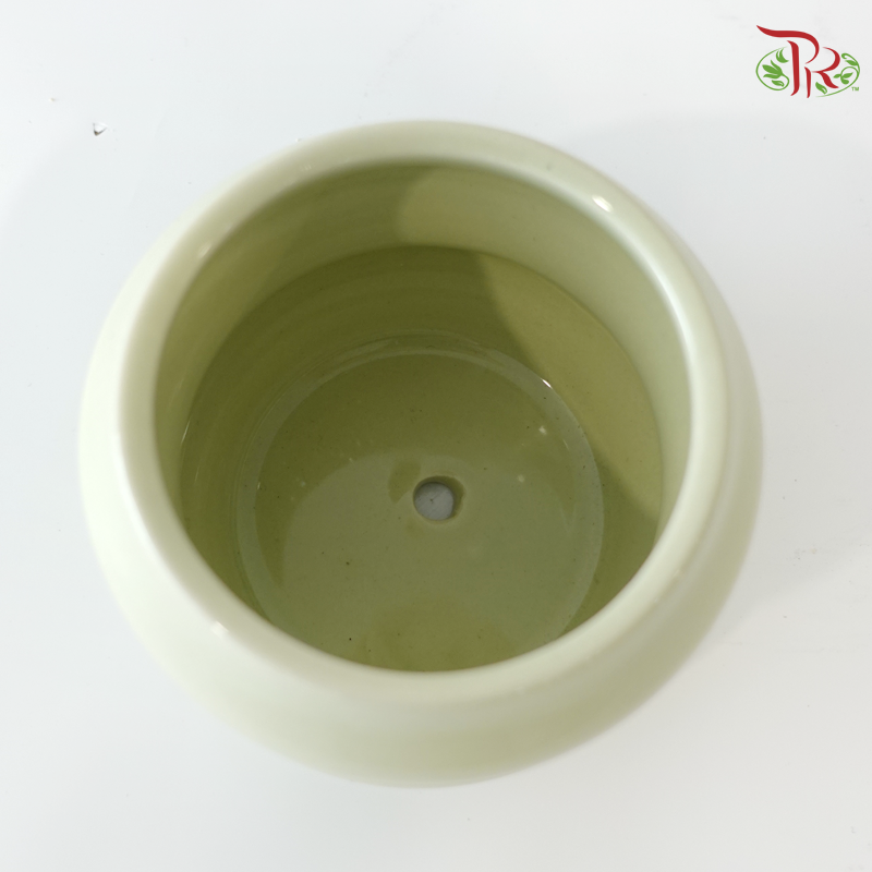 TY-9911 Pot (With Color Option)