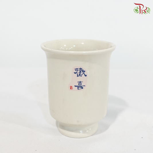 TY-9928 Huan Xi Pot