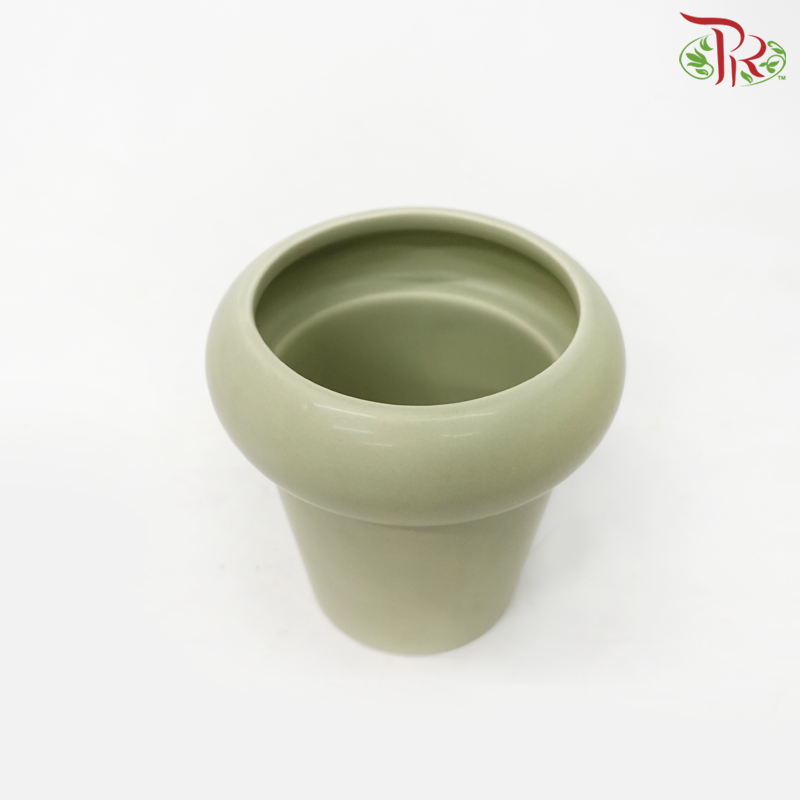 TY-8804 - Pot