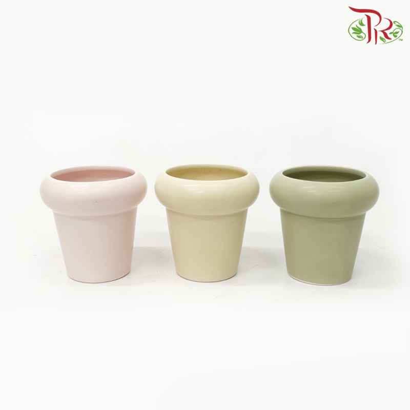 TY-8804 - Pot