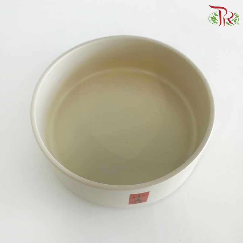 TY-9906 - Pot (TY-9906)
