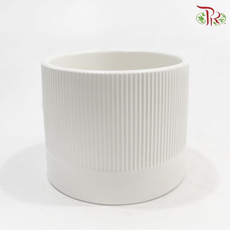 TYN-2063002 - Asst Pot (TYN-2063002) (With Colour Options)