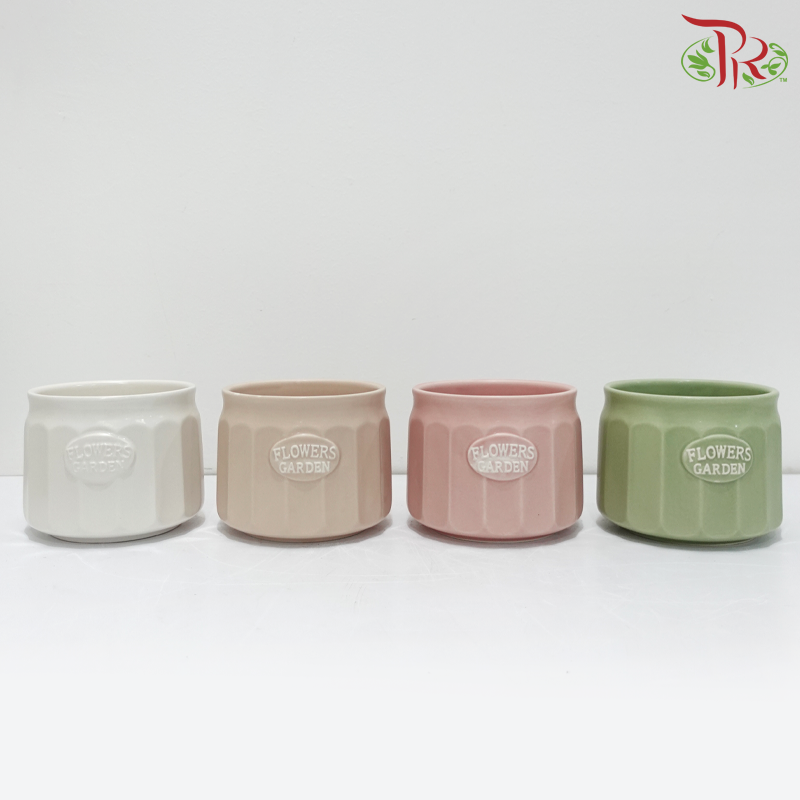 TYN-220206 Asst Pot (TYN-220206) (With Colour Options)