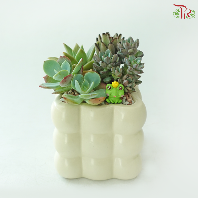 【Gift Series】 You’re Succulent-ly the Best! (Random Choose Succulent Plant & Gardening Miniature)