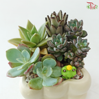 【Gift Series】 You’re Succulent-ly the Best! (Random Choose Succulent Plant & Gardening Miniature)