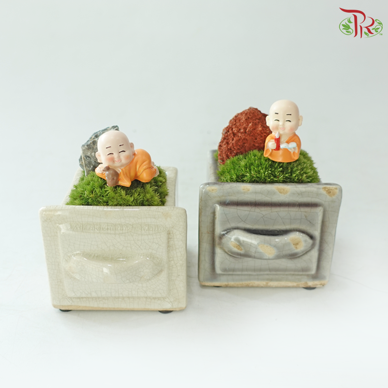 【Teacher‘s Day】Thanks a Moss Lot!(With Pot Color Options)