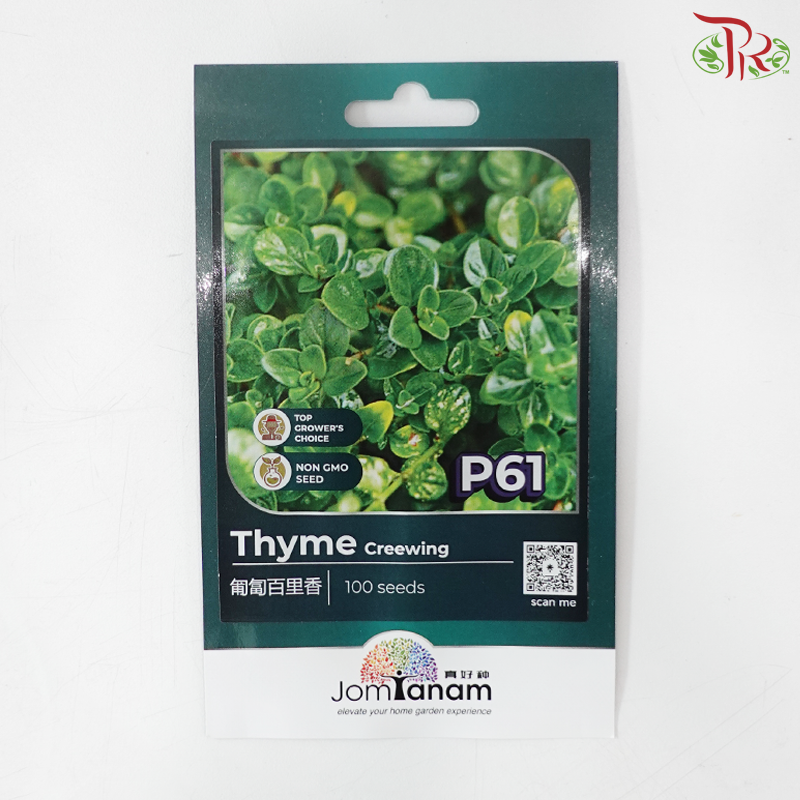 【Jom Tanam Seeds】Herbs Series (Per Pack) (With Options)