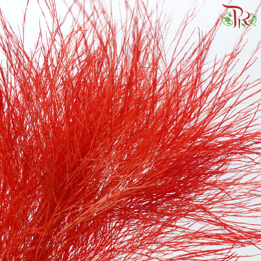 Tiki Fern Preservative - Red (Per Bunch)