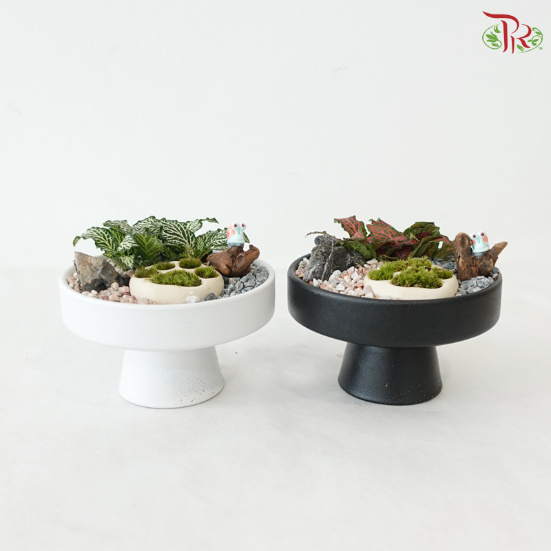 Tiny Paw Plant Heaven (With Pot Color Option)