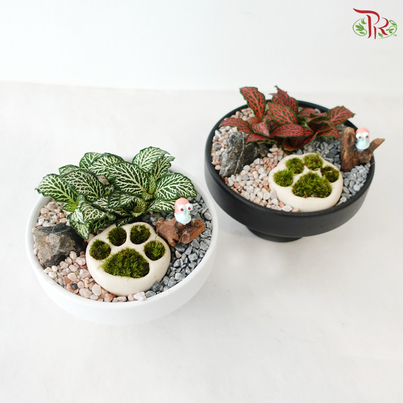 Tiny Paw Plant Heaven (With Pot Color Option)