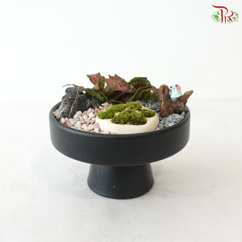 Tiny Paw Plant Heaven (With Pot Color Option)