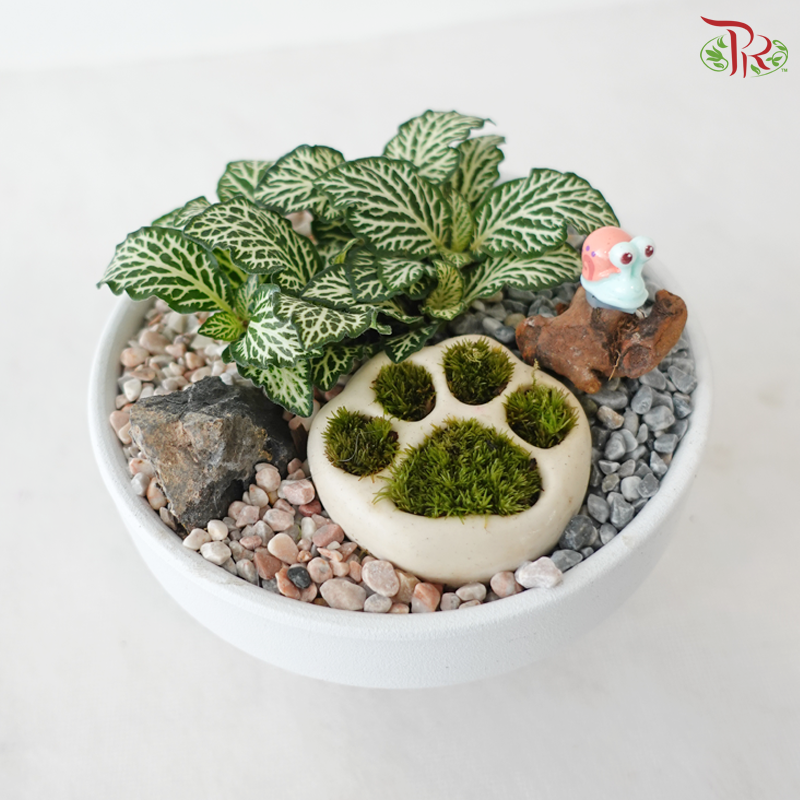 Tiny Paw Plant Heaven (With Pot Color Option)
