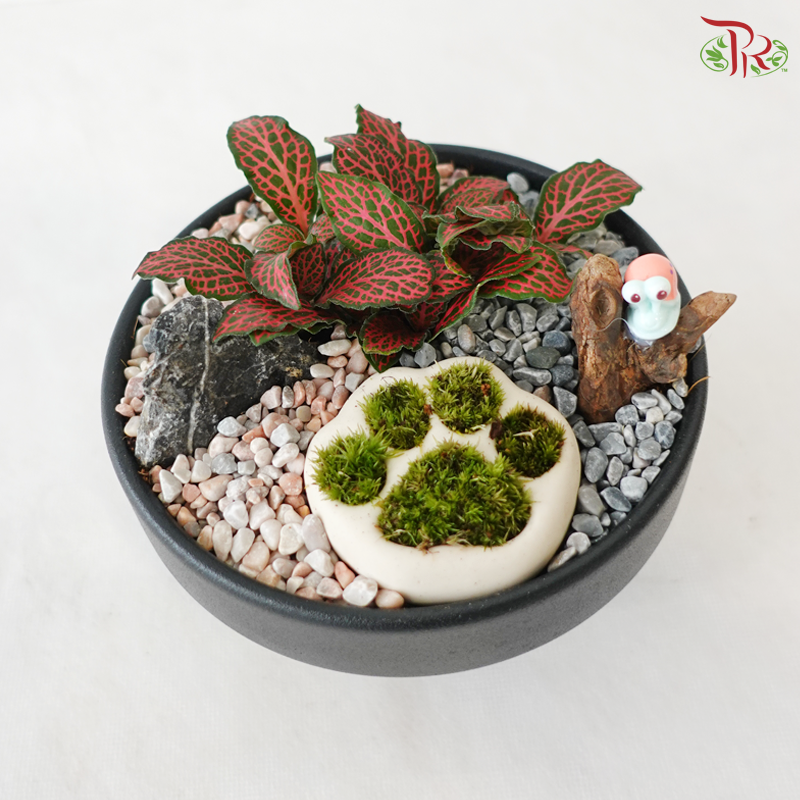 Tiny Paw Plant Heaven (With Pot Color Option)