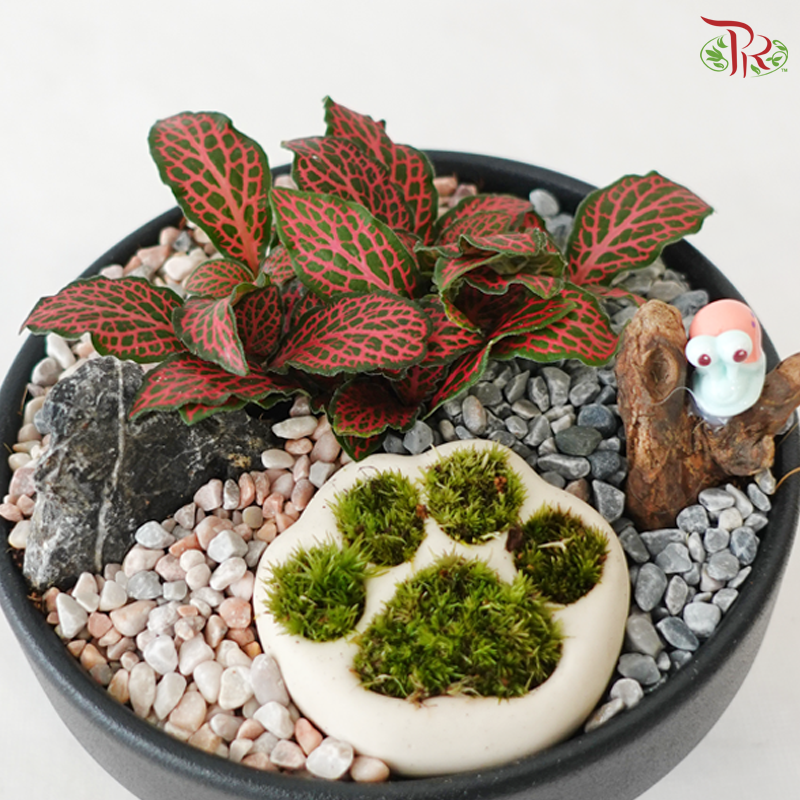 Tiny Paw Plant Heaven (With Pot Color Option)